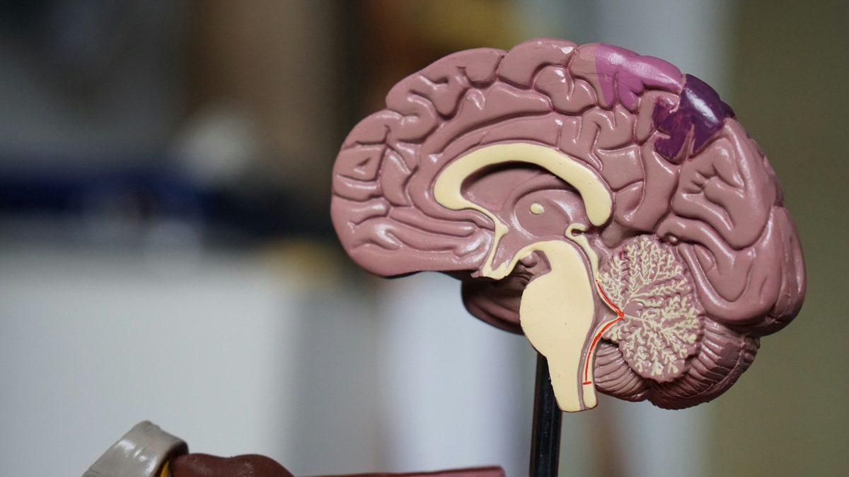 Changes in your voice could be an early warning sign of dementia, study finds