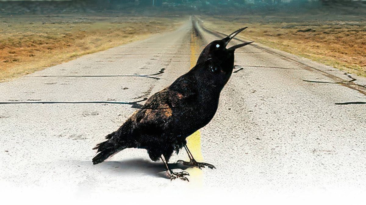 8 Books You Should Read If You Loved Stephen King's 'The Stand'