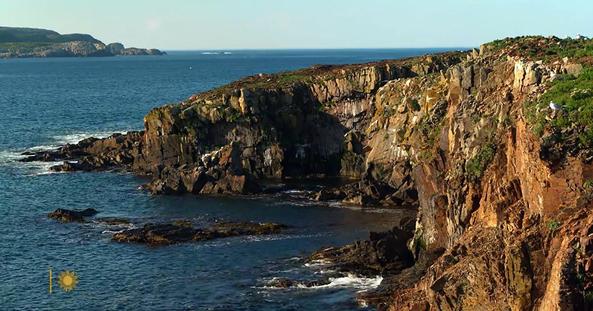 Nature: Newfoundland