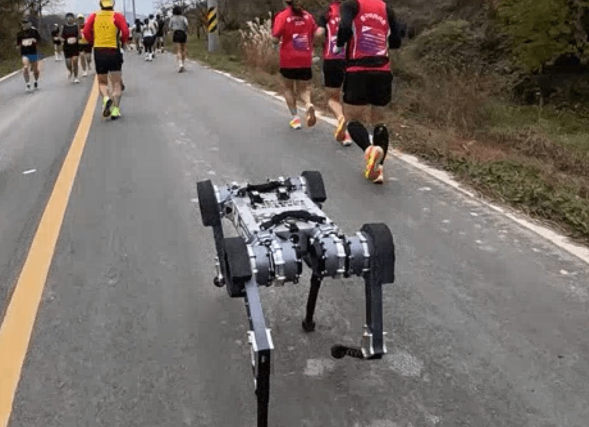 Watch a robot dog run a marathon faster than the average human