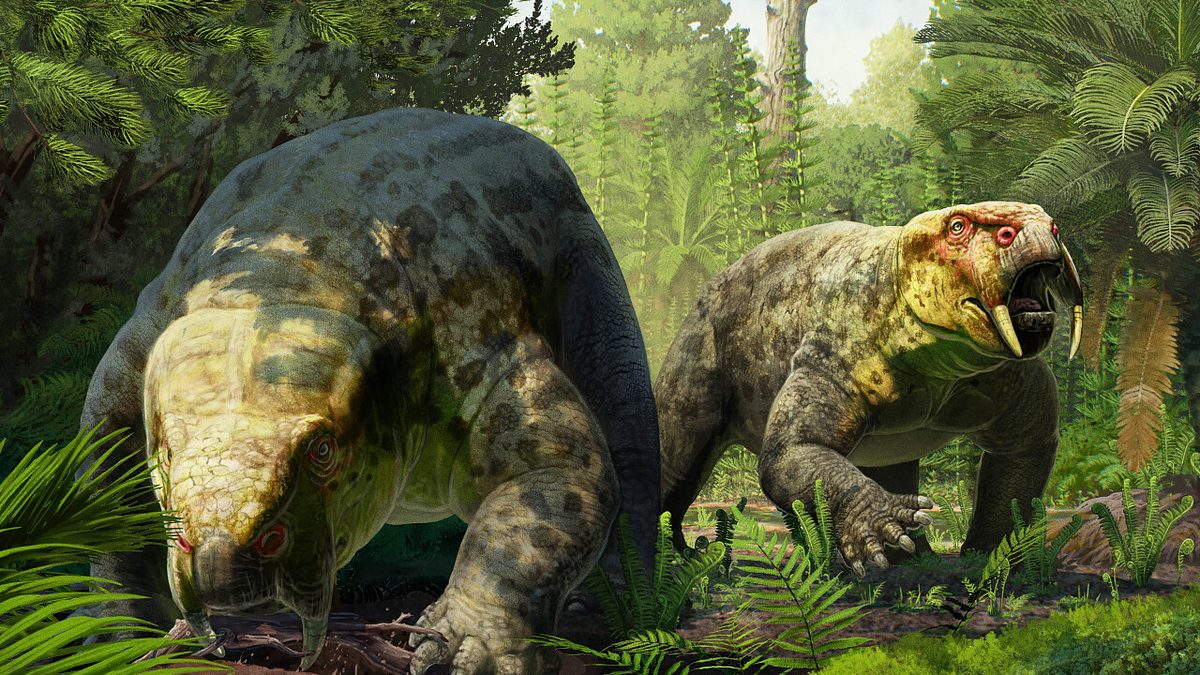 Fundstätte in Tansania: Fossilienfund stellt Zeitlinie der Dinosaurier in Frage