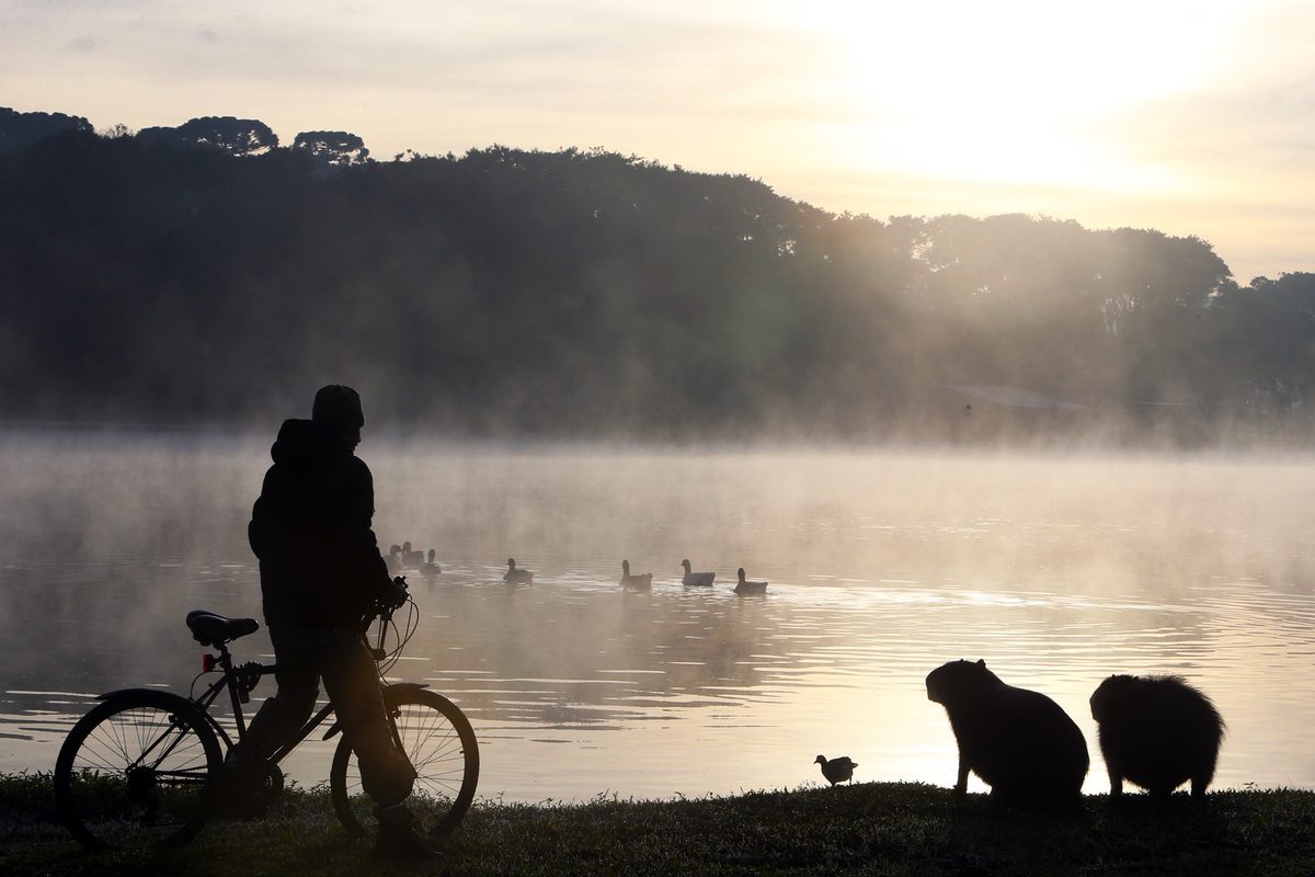 Paraná recebe alerta de queda de temperatura e mínimas podem chegar a 3°C no feriado; veja onde e previsão do tempo