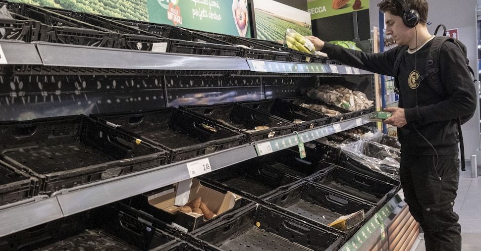 AAA cercasi insalata e pomodori sugli scaffali dei supermercati
