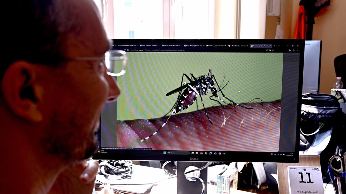 In Veneto più casi di West Nile rispetto al 2025, ma in linea con l'andamento storico