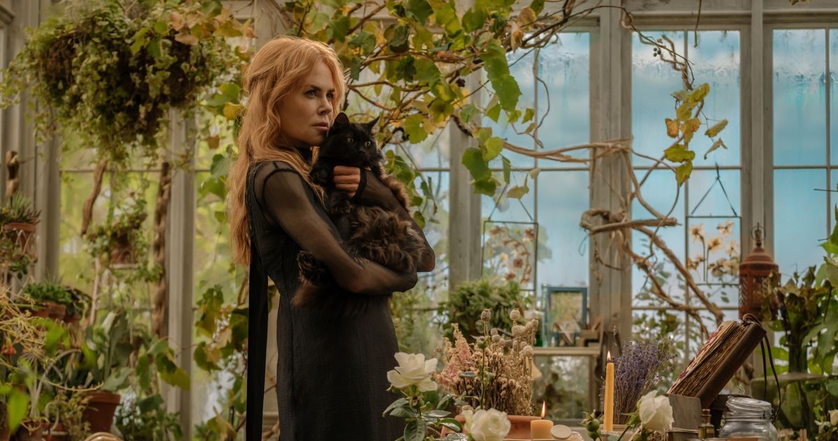 Practical Magic 2 Is a Shell of Its Former Self