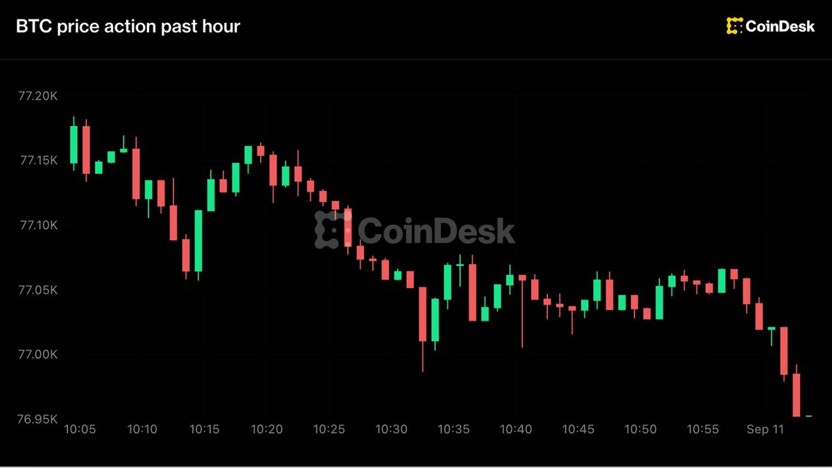 Live updates: Bitcoin sinks below $77,000 ahead of U.S. CPI report