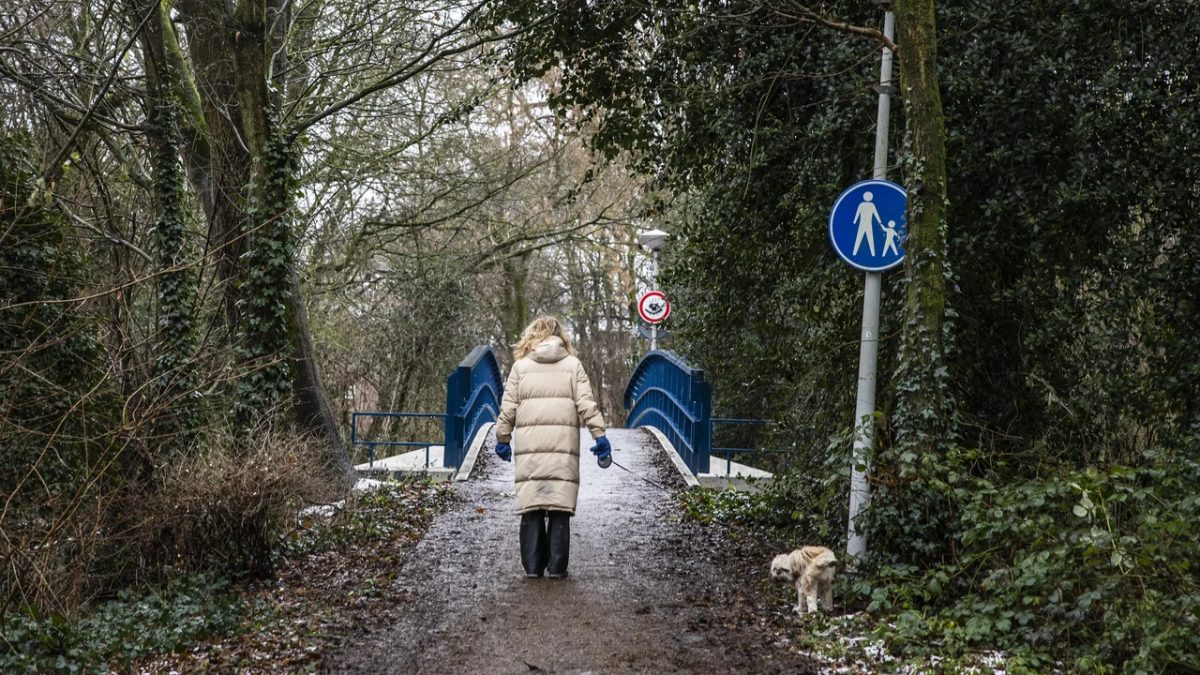 Verdachte zwijgt in onderzoek naar moord Syrische tieners in park Amsterdam