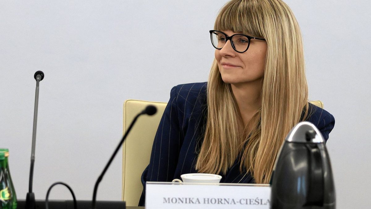 Interwencja Moniki Hornej-Cieślak. Jest zawiadomienie do prokuratury