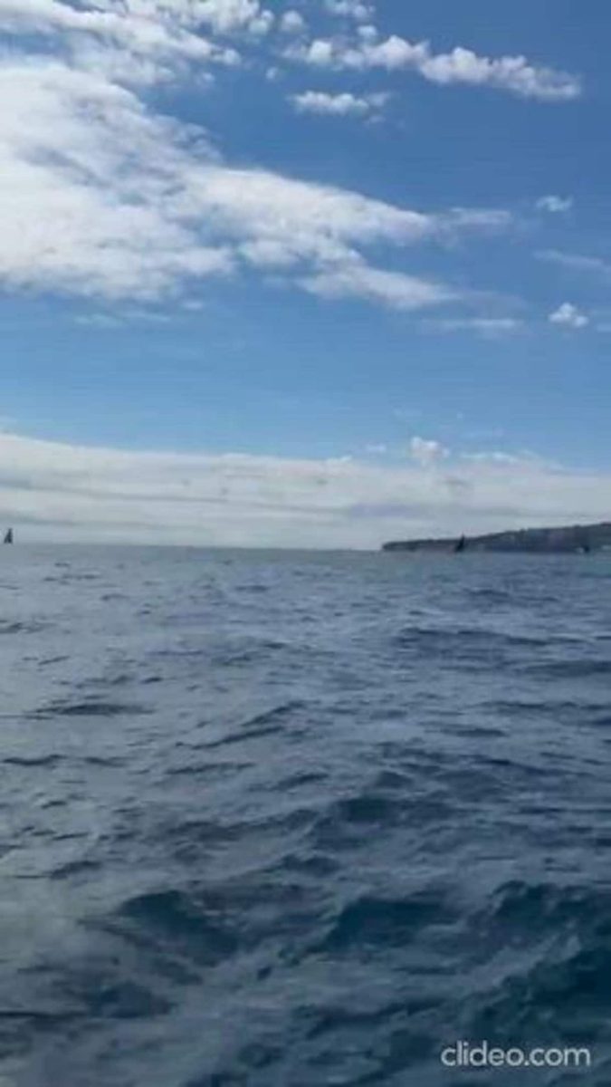 America's Cup, il campo di regata vicino l'Amerigo Vespucci