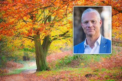 Walter Damen over de schoonheid van de herfst: “Ze toont dat zelfs afsterven mooi kan zijn”
