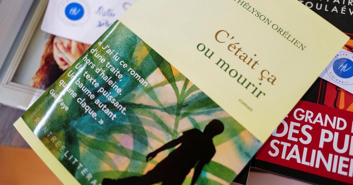 Pour « préserver l’intégrité » de son prix, l’Académie Goncourt supprime le roman de Thélyson Orélien, C’est ça ou mour…