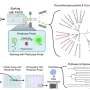 Compost microbe yields enzyme that tackles polyurethane foam and nylon