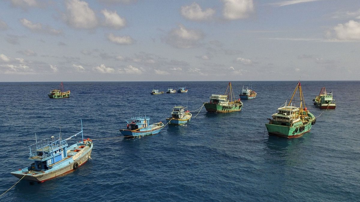 Author Rose George dives into the dark depths of the fishing industry
