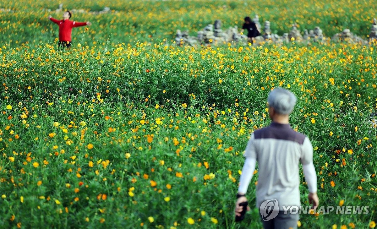 [내일날씨] 아침 최저 12도로 가을 '성큼'…강원·경북 동해안은 비 소식