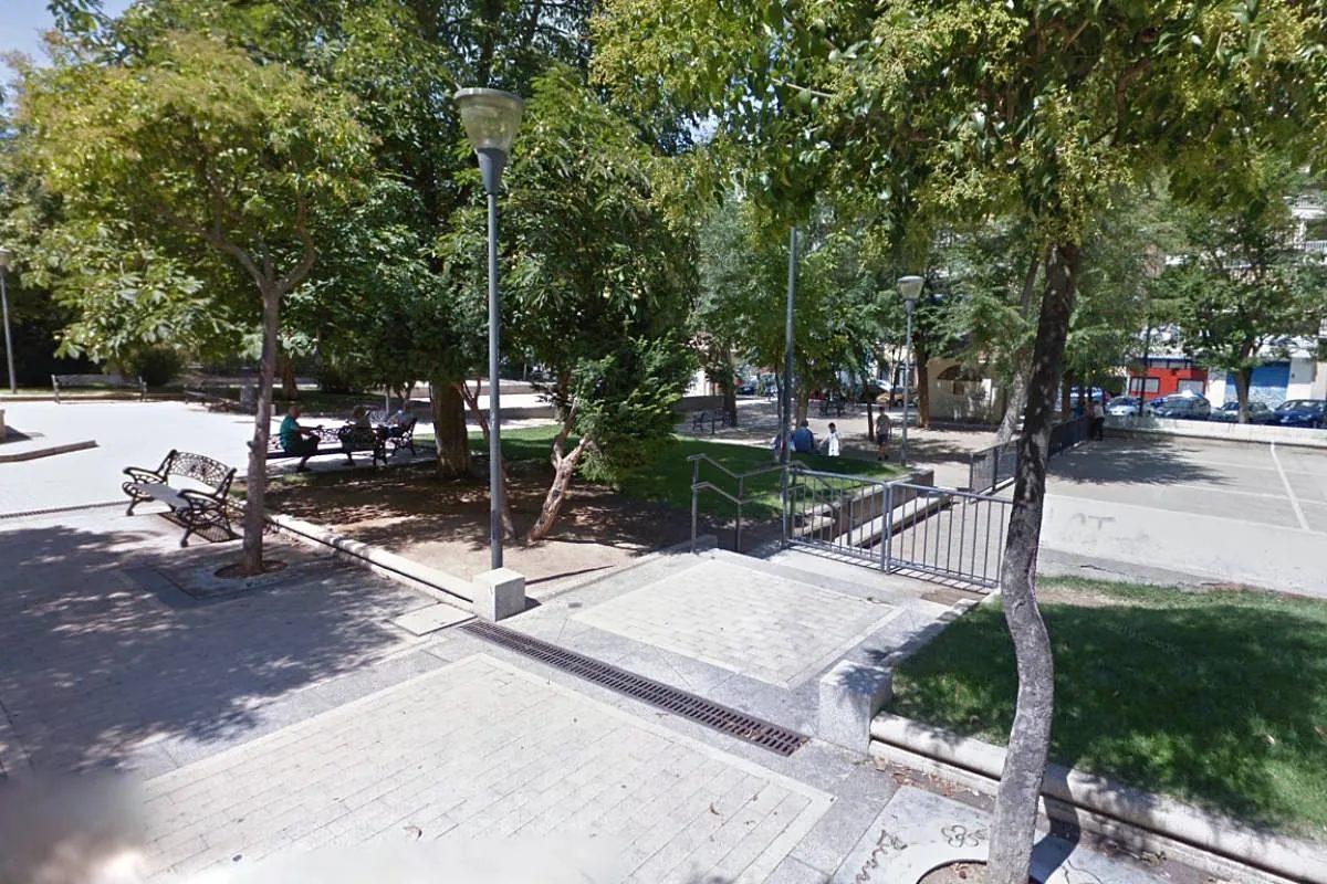 Precintan un tejo en un parque de Salamanca tras el ingreso hospitalario de tres niños por comer sus frutos