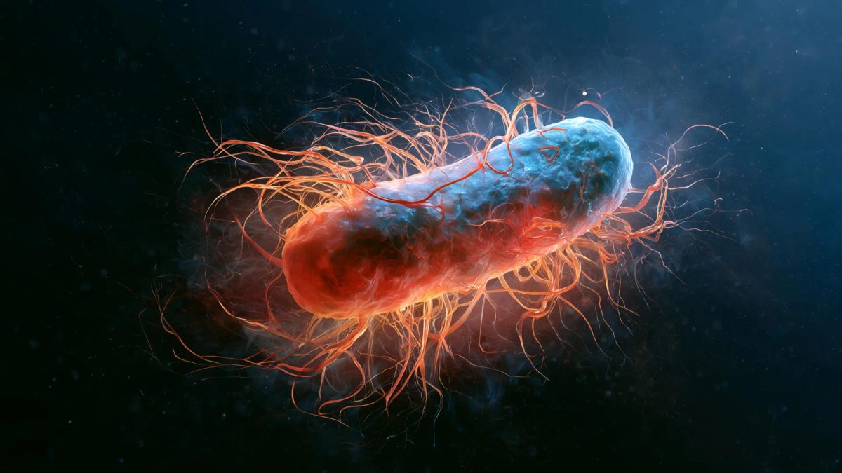 Scientists gave worms magnetic bacteria. They lived 43% longer