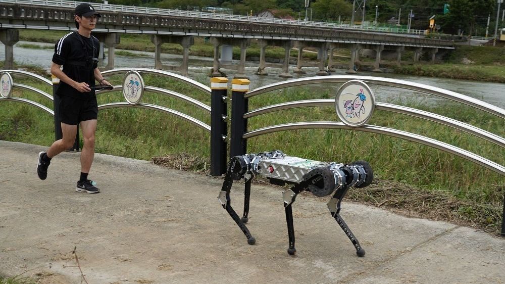 Südkorea: Roboter »Raibo2« lief Marathon unter viereinhalb Stunden