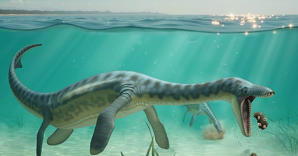 El vómito revela el secreto de los plesiosaurios, los monstruos marinos que regurgitaban a sus víctimas