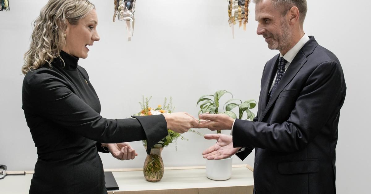 Avfeier statsrådens KI-mål