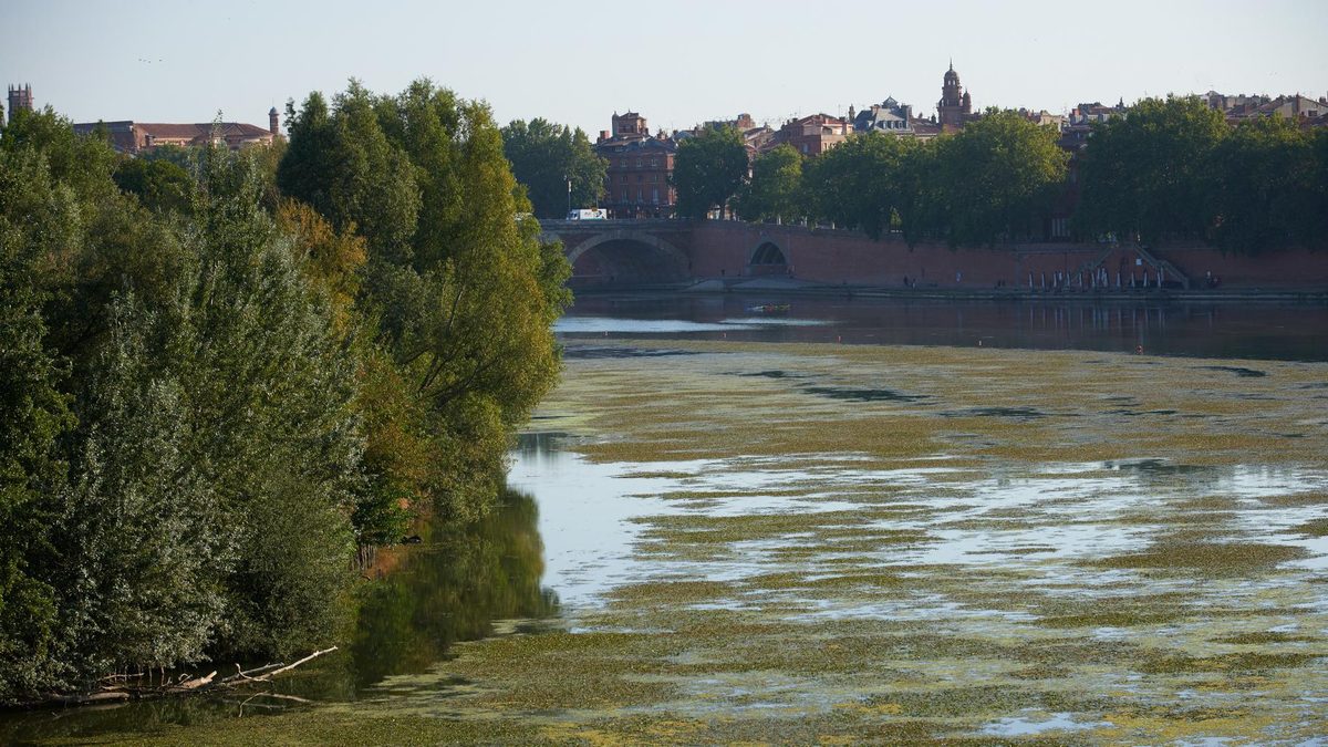 À cause de la sécheresse, la Garonne en situation de « crise » pour la première fois