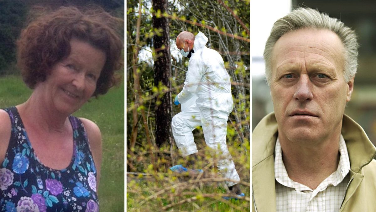 Svensk pekas ut i fallet med Anne-Elisabeth