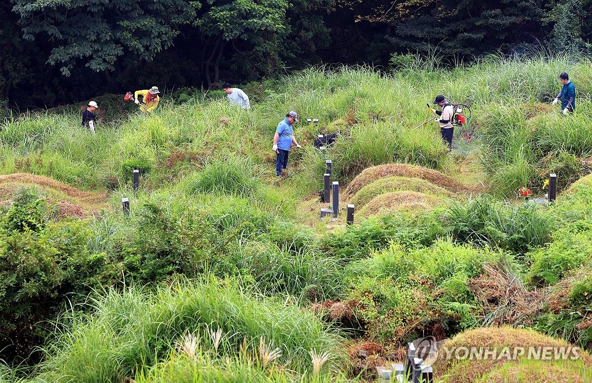 제주 곳곳 예초기 소리 울리는 벌초철…"안전사고 주의"