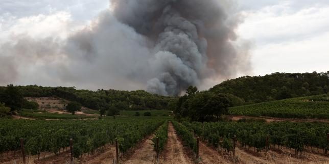 Les fumées toxiques des mégafeux de forêt à l’origine d’au moins 100 000 morts par an dans le monde