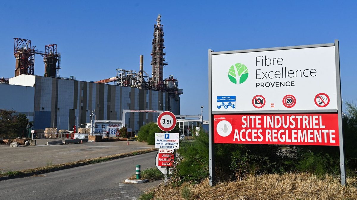 "De l'eau non traitée se déverse en permanence vers le Rhône" : à Tarascon, le sort de l'usine de pâte à papier inquièt…