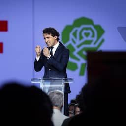 Toch kleur bekennen: gaat PRO in Europa naar koepel GroenLinks of PvdA?