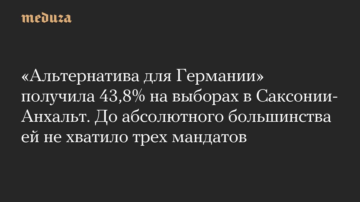 «Альтернатива для Германии» получила 43,8% на выборах в Саксонии-Анхальт. До абсолютного большинства ей не хватило трех…