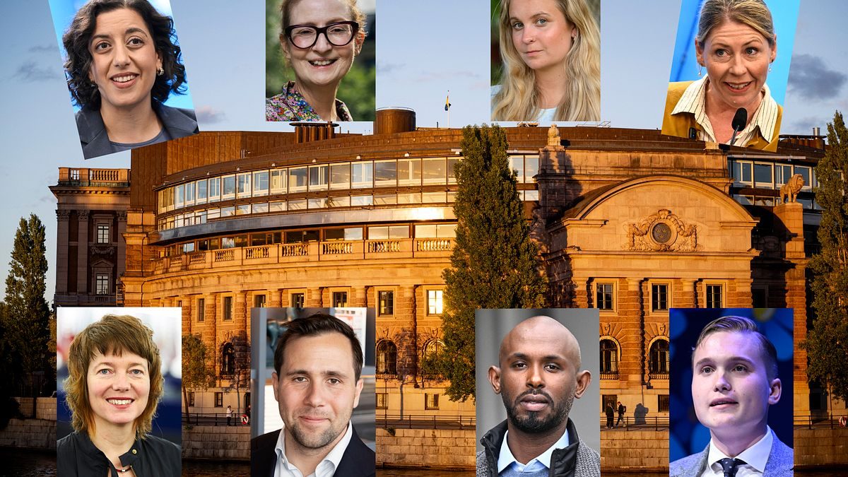Nya riksdagen – partiet med flest nykomlingar
