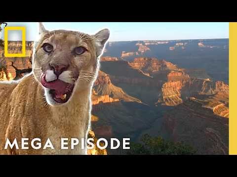 Incredible Footage of America's National Parks | MEGA Episode