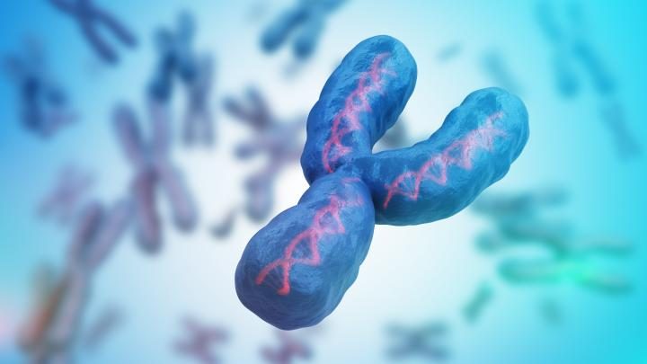Utrata chromosomu Y może zapowiadać nowotwór
