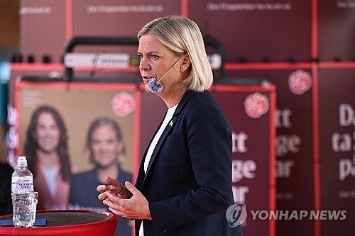 스웨덴 총선 흔드는 '러 개입 의혹'…야당 "문제 심각"