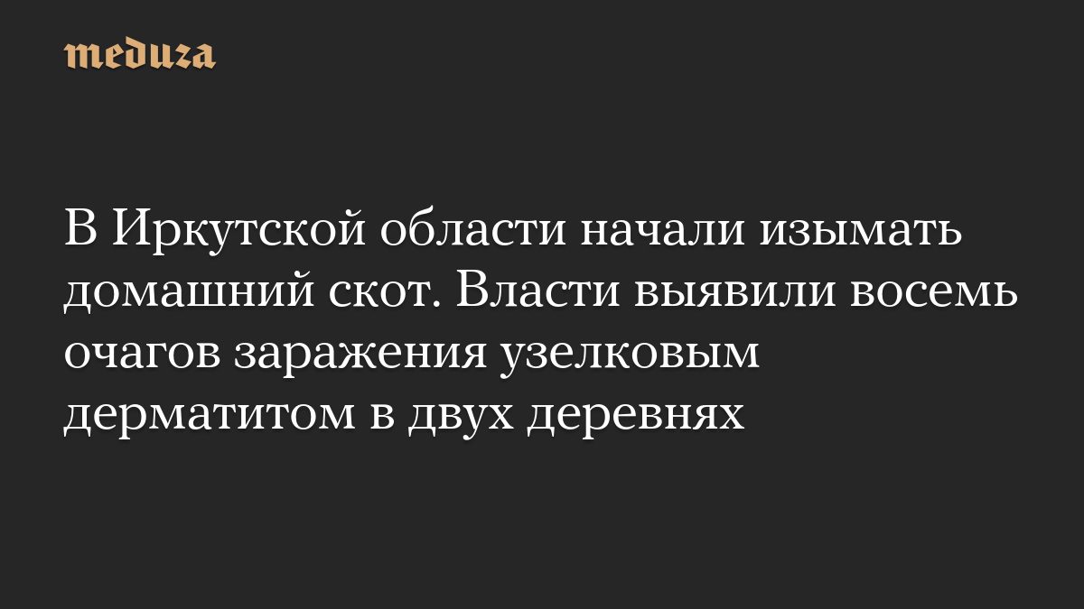 В Иркутской области начали изымать домашний скот. Власти выявили восемь очагов заражения узелковым дерматитом в двух де…