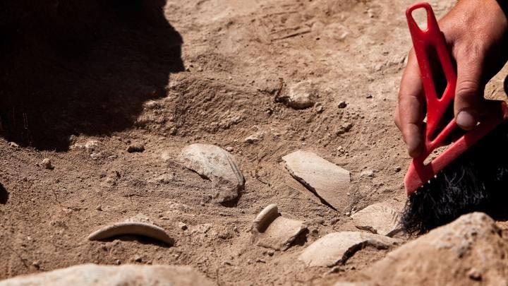 Chiny/ Czaszka kobiety sprzed 700 lat może być pierwszym dowodem amputacji nosa wykonanej za karę