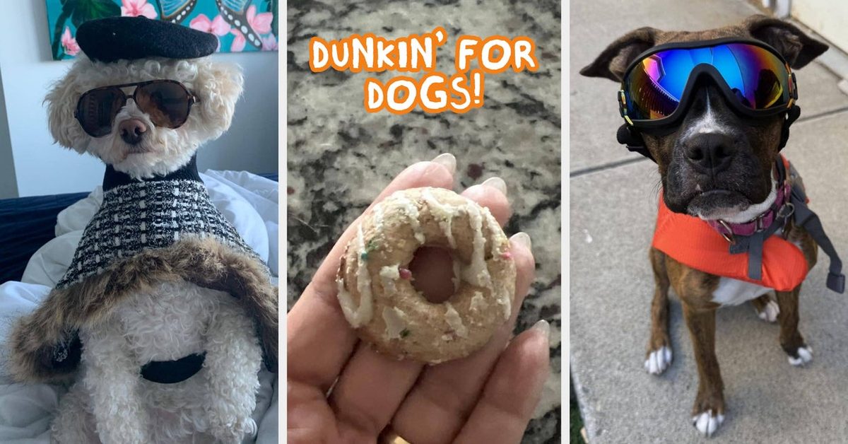 27 Things You Need If Your Dog Is 100% A Diva