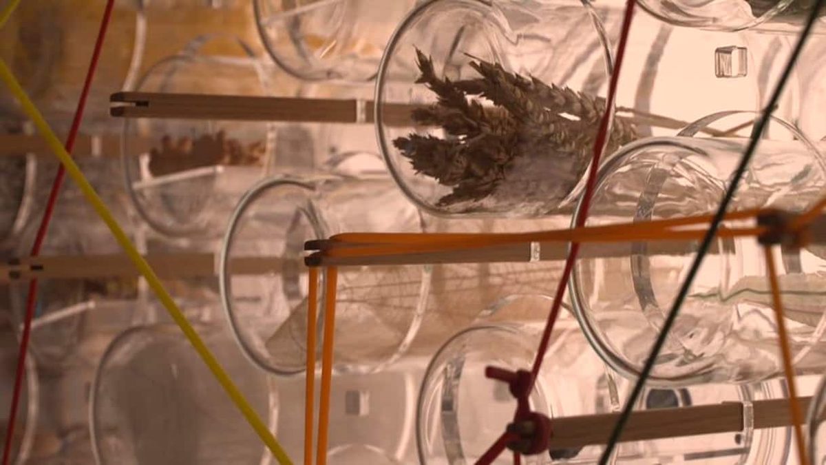 Al Museo della Scienza la Notte Europea dei Ricercatori