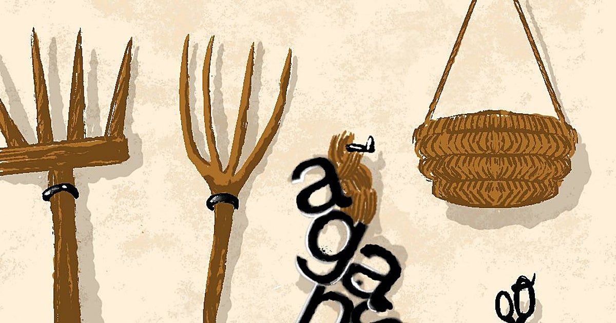 Las cosas del campo