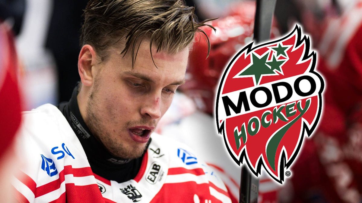 Timrå lånar ut Anton Lundmark – till rivalen Modo