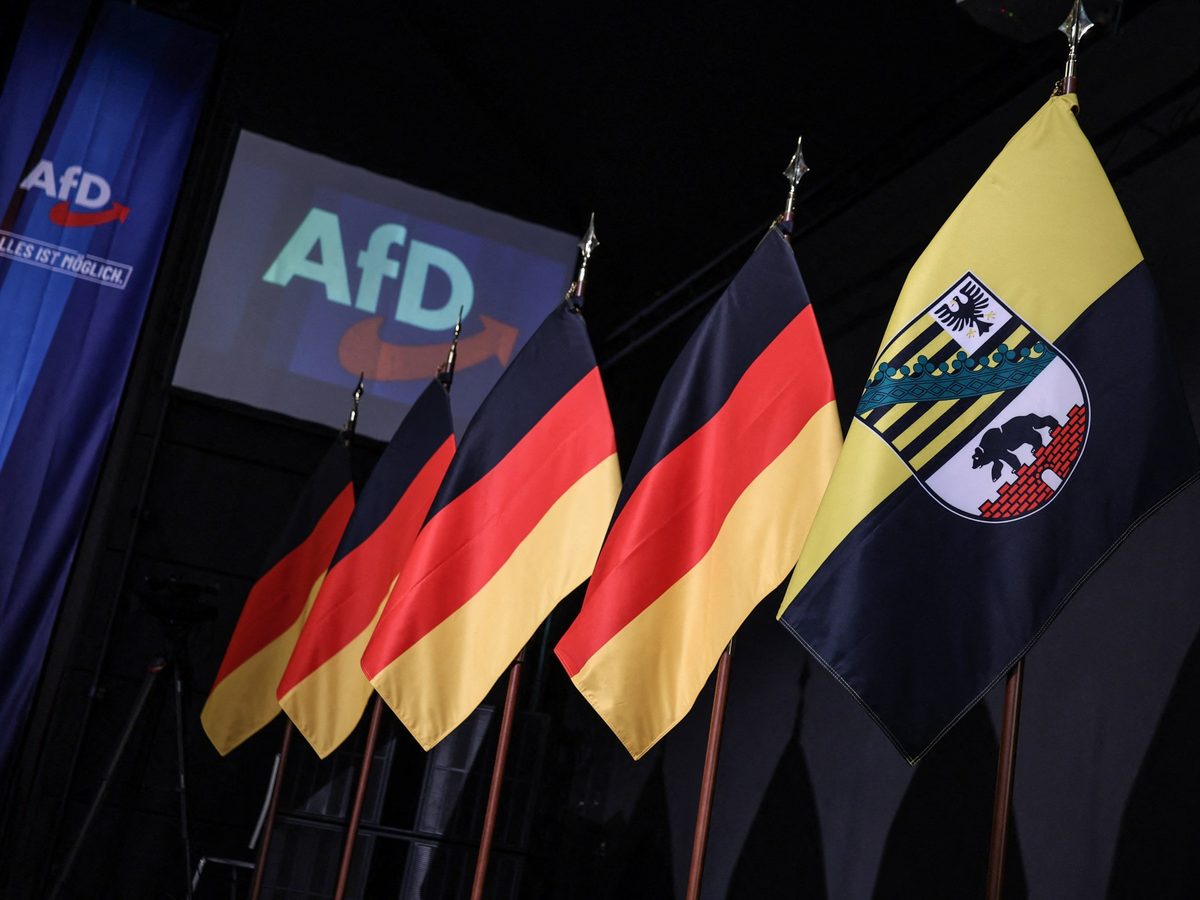 World reacts to AfD victory in east Germany state election