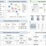 AI extracts interpretable constitutive laws directly from solid-mechanics data