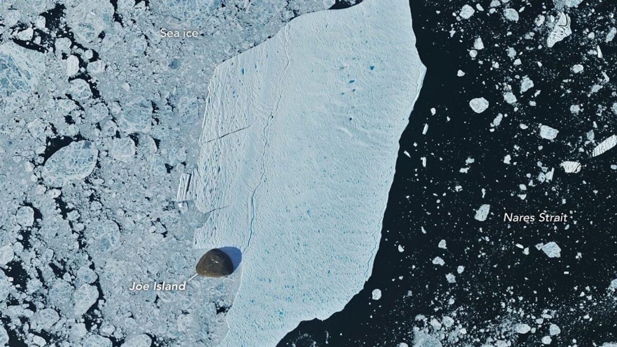 Greenland’s Wayward Ice Island Just Smashed Into Joe Island—and Survived