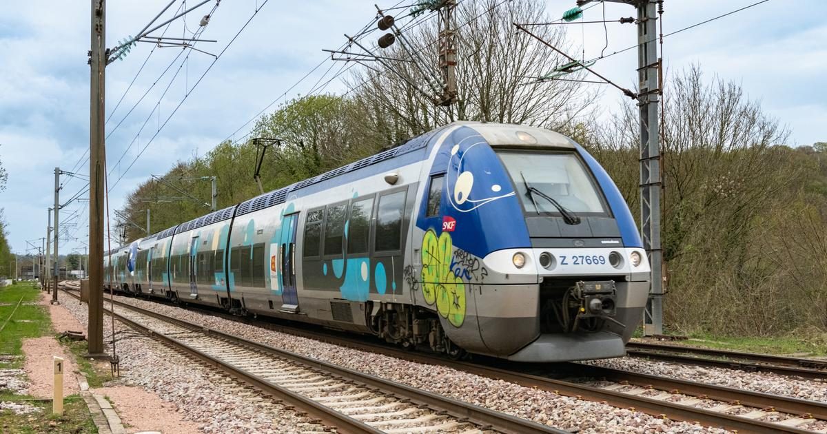 Seine-Maritime : «environ 20 blessés» après le déraillement d’un TER