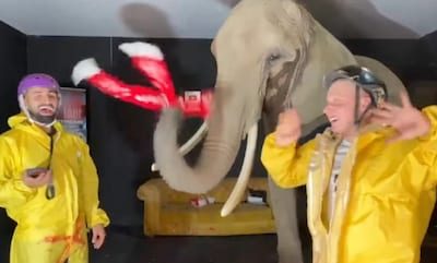 Ze maakten veel kabaal en probeerden objecten in zijn mond te gooien: Duitse youtubers treiteren olifant voor de clicks