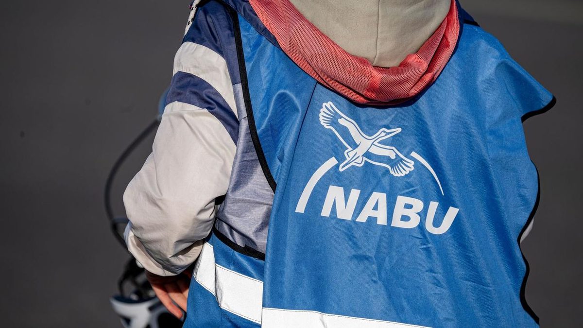 Naturschutz: Hitze und Trockenheit - Nabu fordert Aktionsprogramm