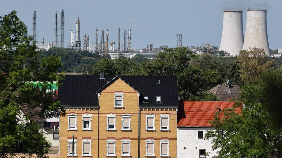 Wahl in Sachsen-Anhalt: Arbeitgeber warnen von "Klima der Abschottung"