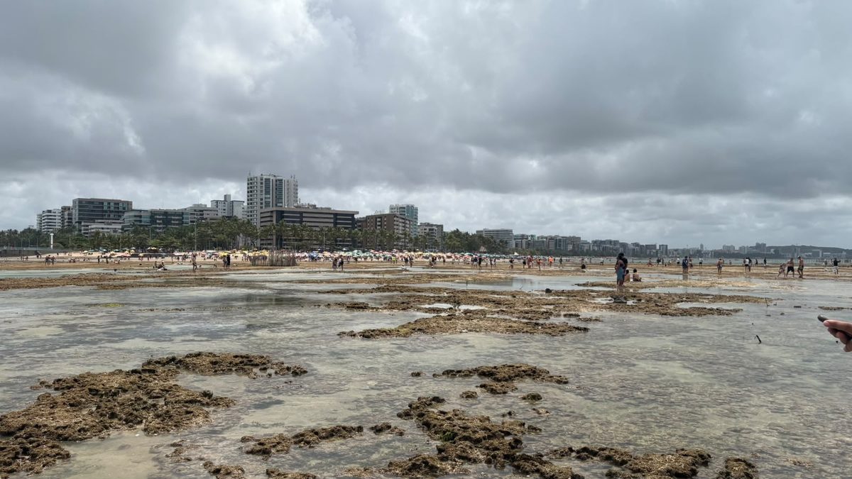 Previsão do tempo em Alagoas: vai chover no fim de semana?