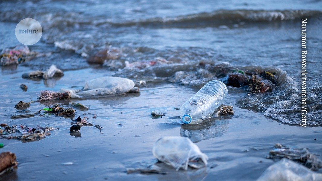 Rivers deliver unexpectedly high loads of microplastics to the sea
