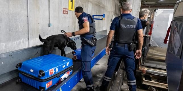 Saisies record dans les aéroports et services de police « saturés » : l’inquiétude des autorités devant l’essor du traf…